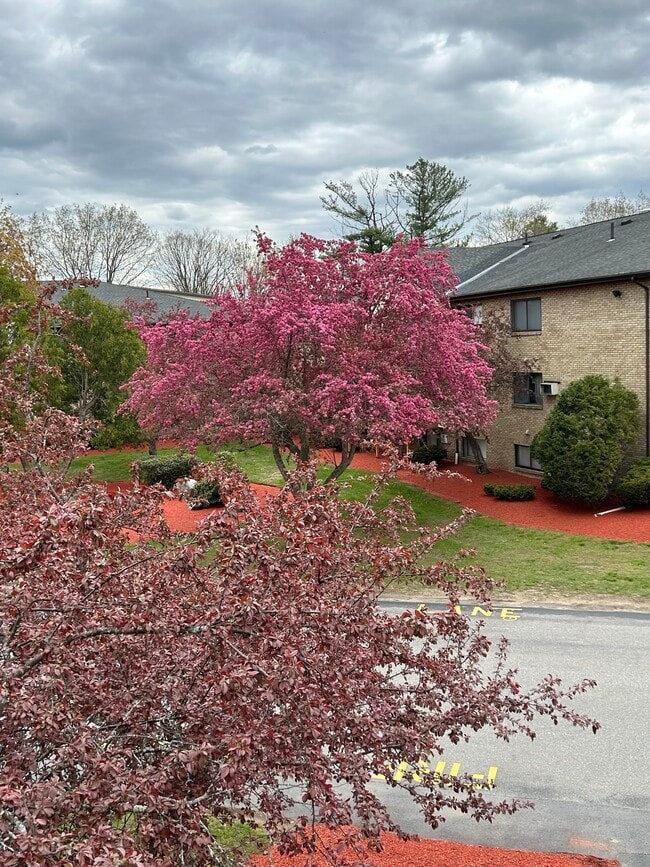 property at 1 Lancelot Court