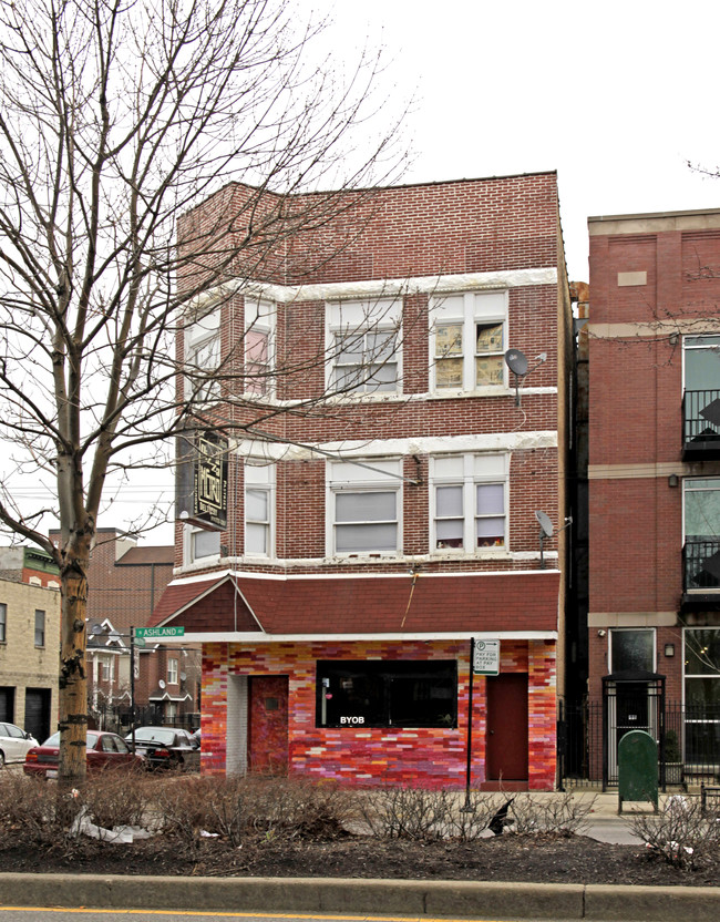 925 N Ashland Ave in Chicago, IL - Building Photo - Building Photo