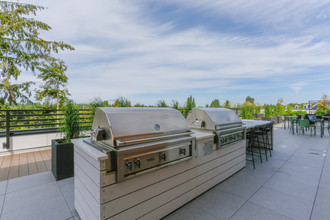 Bogtown Flats in Seattle, WA - Building Photo - Interior Photo