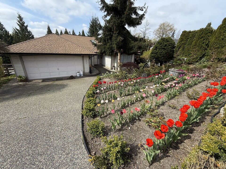 23475 Tamarack Ln in Maple Ridge, BC - Building Photo