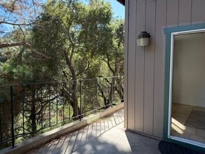 2821 San Ardo Way in Belmont, CA - Building Photo - Building Photo