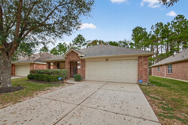 21345 Terreton Springs Dr in Porter, TX - Building Photo - Building Photo