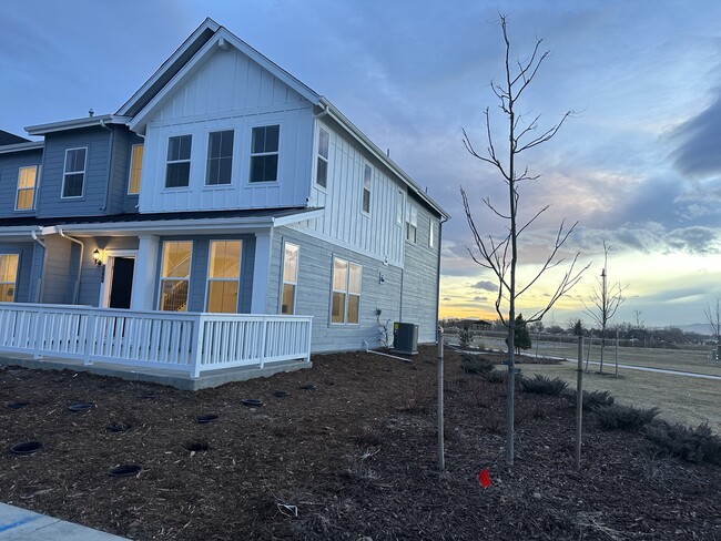 5449 Euclid Dr in Timnath, CO - Foto de edificio - Building Photo