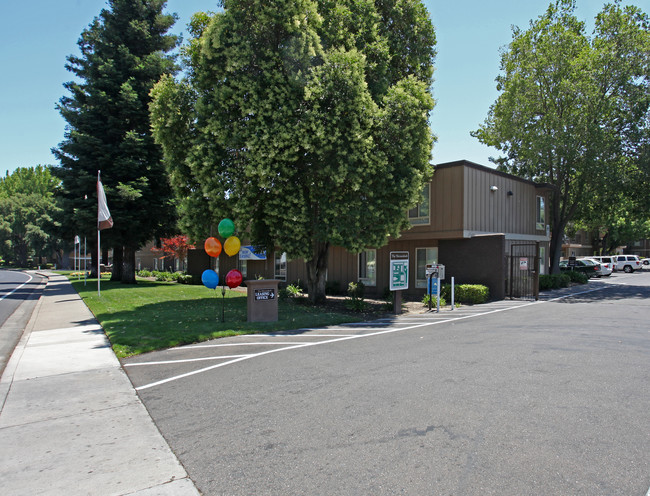 The Shenandoah Apartments in Sacramento, CA - Foto de edificio - Building Photo