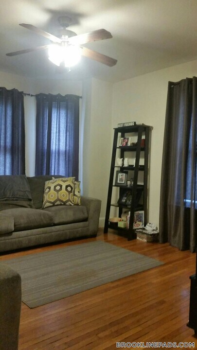 214 Freeman St, Unit 1 in Brookline, MA - Foto de edificio