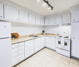 Torbay Road Apartments in St John's, NL - Building Photo - Building Photo