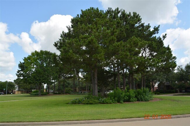 8307 Red Rooster Ln in Katy, TX - Foto de edificio - Building Photo
