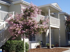 222 Tuscany Pl in Sonoma, CA - Building Photo - Building Photo