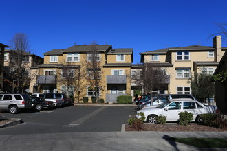 Olive Grove Apartments in Santa Rosa, CA - Building Photo - Building Photo