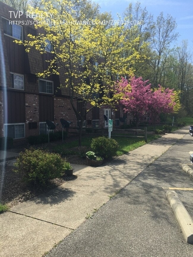 12 Oberlin Ave