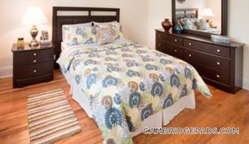 18 Chauncy St, Unit 8 in Cambridge, MA - Foto de edificio - Building Photo