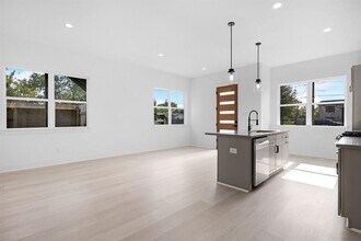 1009 Lucky St in Houston, TX - Building Photo - Building Photo