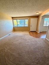 2419 Jewel St in Longmont, CO - Building Photo - Building Photo