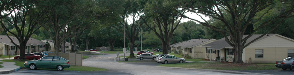 North Grove Manor Apartments in Seffner, FL - Building Photo