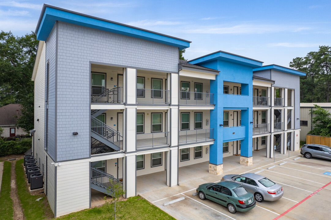 Azul Apartments in Spring, TX - Building Photo