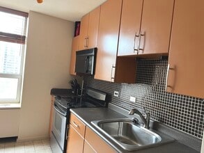 70 W Burton Pl, Unit 1203 in Chicago, IL - Building Photo - Building Photo