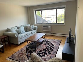 41 Walnut St, Unit Zvi Stein unit in Waltham, MA - Building Photo