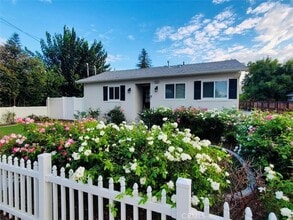 25461 Cole St in Loma Linda, CA - Foto de edificio - Building Photo