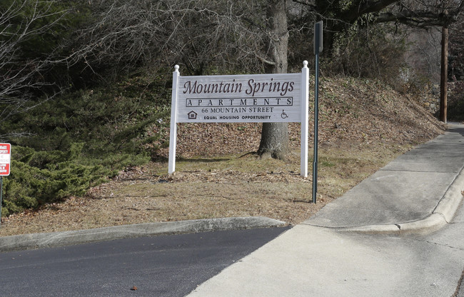 Mountain Springs in Asheville, NC - Building Photo - Building Photo