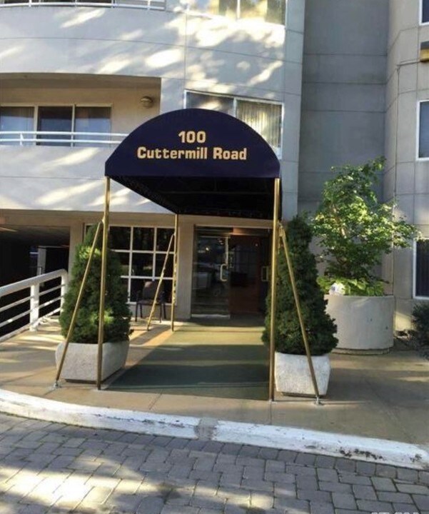 100 Cutter Mill Rd in Great Neck, NY - Building Photo