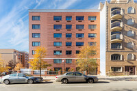 Lefferts Gardens in Brooklyn, NY - Foto de edificio - Building Photo