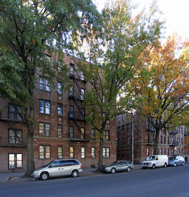 1155 Morrison Ave in Bronx, NY - Foto de edificio - Building Photo
