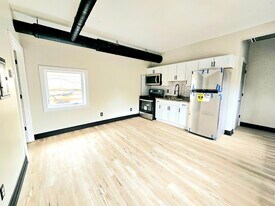 486 Franklin St, Unit 1 in Buffalo, NY - Building Photo