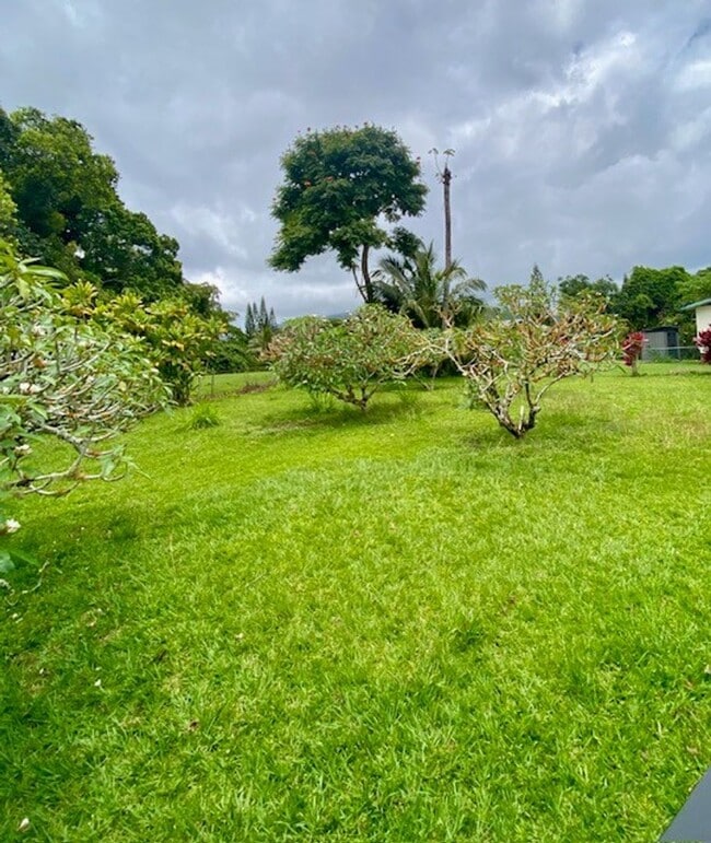 1111 Puuopae Rd in Kapaa, HI - Building Photo - Building Photo