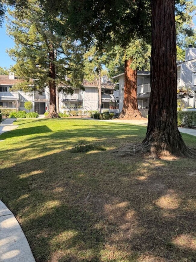 4021 Ralston Common in Fremont, CA - Building Photo - Building Photo