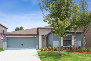 10034 Carloway Hills Dr in Wimauma, FL - Building Photo