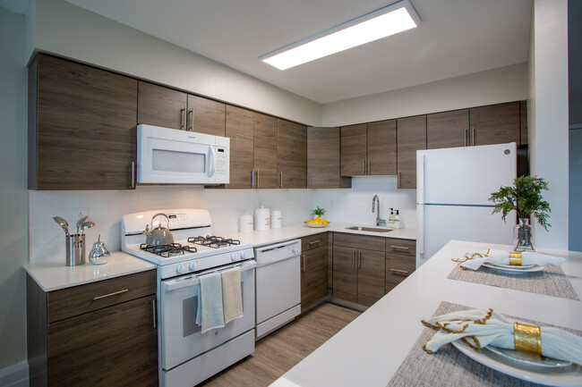 Chestnut Terrace Apartments in Philadelphia, PA - Building Photo - Interior Photo