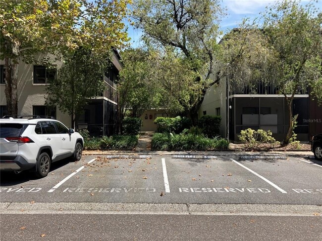 11703 Raintree Village Blvd in Temple Terrace, FL - Building Photo - Building Photo