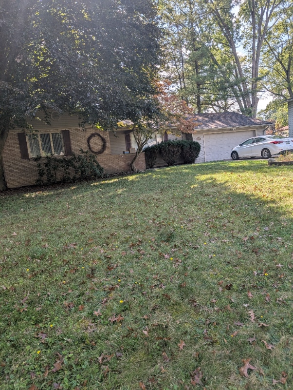 557 Murray Hill Dr in Youngstown, OH - Building Photo - Building Photo