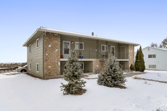 1141 Cree Dr in Colorado Springs, CO - Building Photo - Building Photo