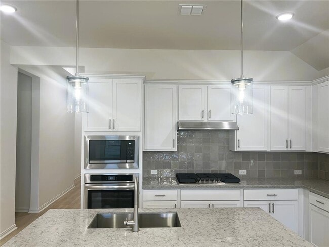 247 Du Bois Ln in Kyle, TX - Building Photo - Building Photo