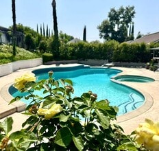 25535 Lawton Ave in Loma Linda, CA - Building Photo - Building Photo