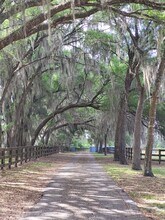 10325 SE 144th Pl in Summerfield, FL - Building Photo - Building Photo