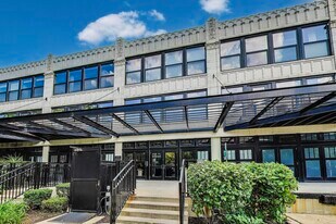 1071 W 15th St in Chicago, IL - Building Photo