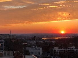 1301 N Courthouse Rd, Unit 1406 in Arlington, VA - Building Photo