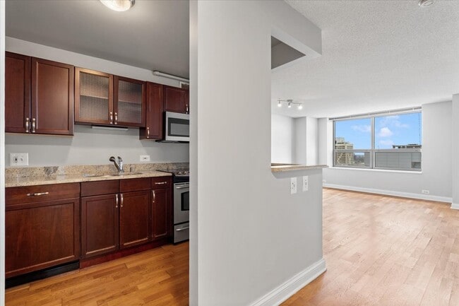 474 N Lake Shore Dr in Chicago, IL - Building Photo - Building Photo