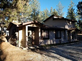 248 Greenspot Blvd in Big Bear, CA - Building Photo