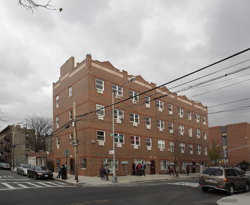 3 Unit Apartments in Brooklyn, NY - Building Photo