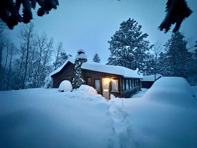 258 Raccoon Cir in Evergreen, CO - Building Photo - Building Photo