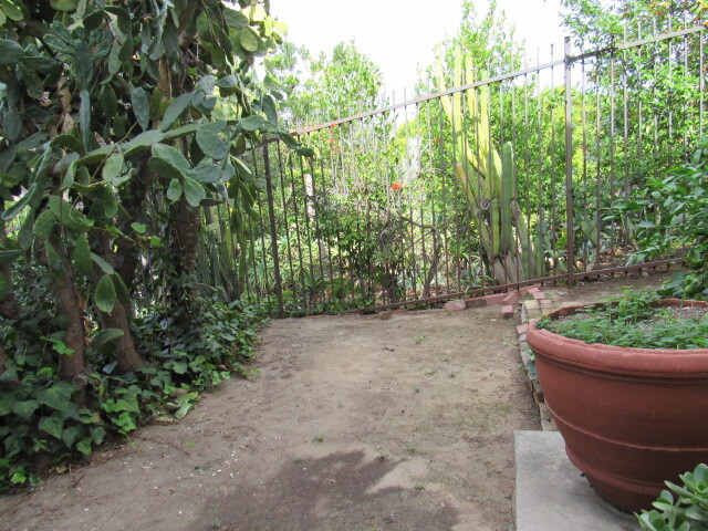870 N Occidental Blvd in Los Angeles, CA - Building Photo - Building Photo