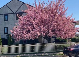 801 Cambridge Cir, Unit A in Clifton Heights, PA - Building Photo - Building Photo