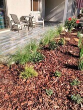 9030 Bullrush Ct in New Port Richey, FL - Building Photo - Building Photo