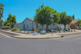 299 W Birch Ave in Hanford, CA - Building Photo