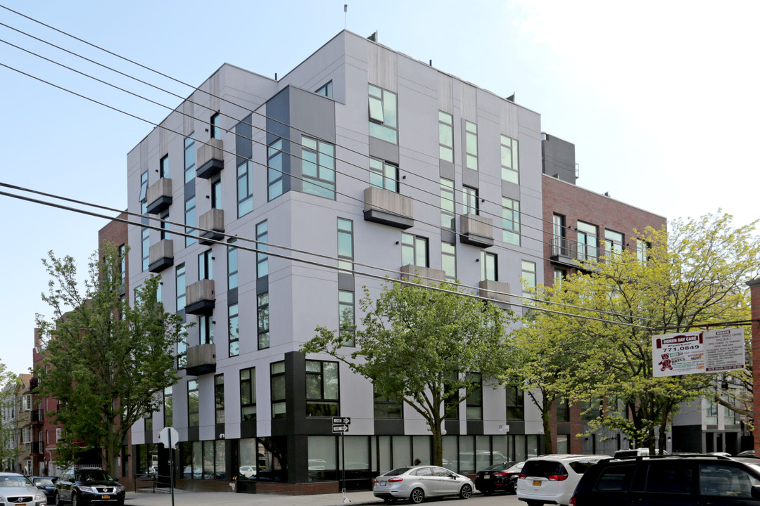 550 Kingston Ave in Brooklyn, NY - Building Photo