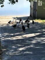 26 Bing St N in Billings, MT - Building Photo