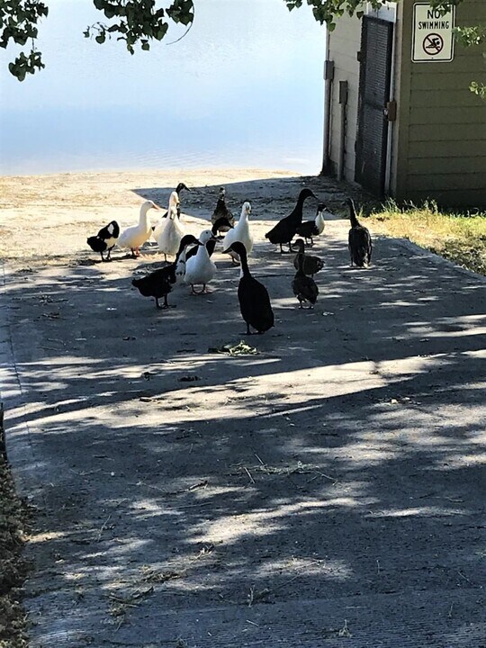26 Bing St N in Billings, MT - Foto de edificio